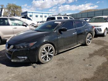  Salvage Nissan Maxima