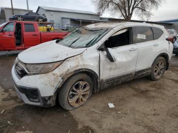  Salvage Honda Crv