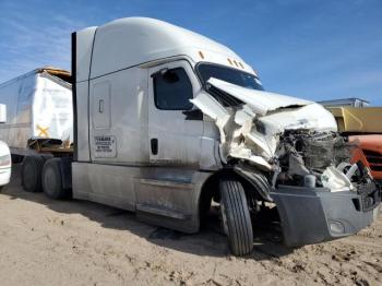  Salvage Freightliner Cascadia 1