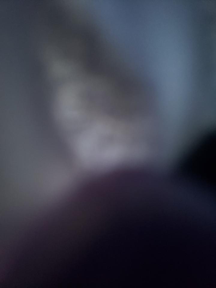 Biso Horse Camp Image 2