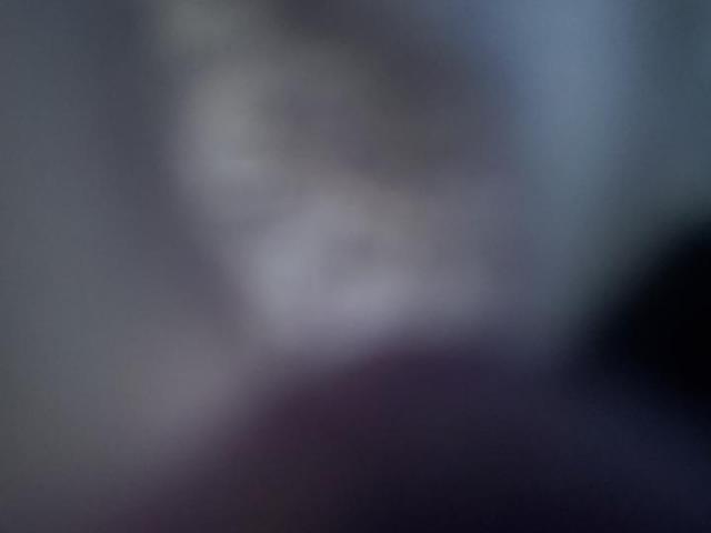 Biso Horse Camp Image 2