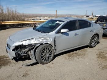  Salvage Nissan Maxima