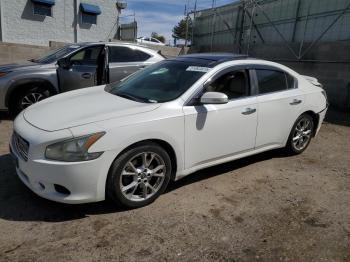  Salvage Nissan Maxima