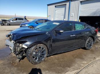  Salvage Nissan Maxima