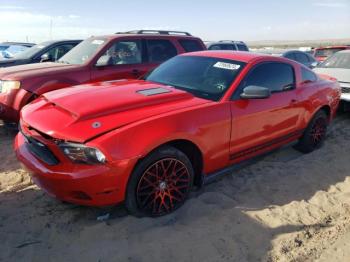  Salvage Ford Mustang