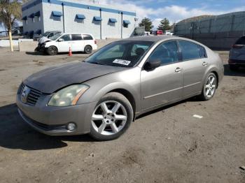  Salvage Nissan Maxima