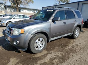  Salvage Ford Escape