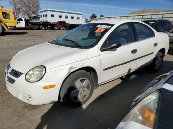  Salvage Dodge Neon
