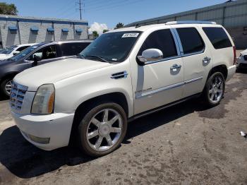  Salvage Cadillac Escalade