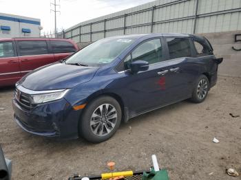  Salvage Honda Odyssey