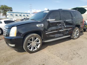  Salvage Cadillac Escalade