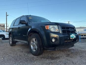  Salvage Ford Escape