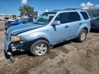  Salvage Ford Escape