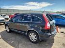 Honda Crv Exl Image 5