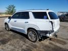 Hyundai PALISADE Limited Image 2