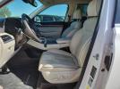 Hyundai PALISADE Limited Image 3