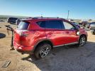 Toyota RAV4 Xle Image 5