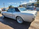 Other Mustang Image 3