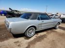 Other Mustang Image 6