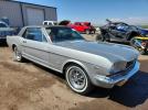 Other Mustang Image 2