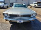 Other Mustang Image 12