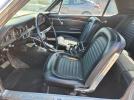 Other Mustang Image 4