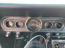Other Mustang Image 5