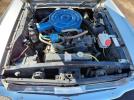 Other Mustang Image 10