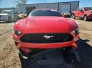 Ford Mustang Gt Image 8