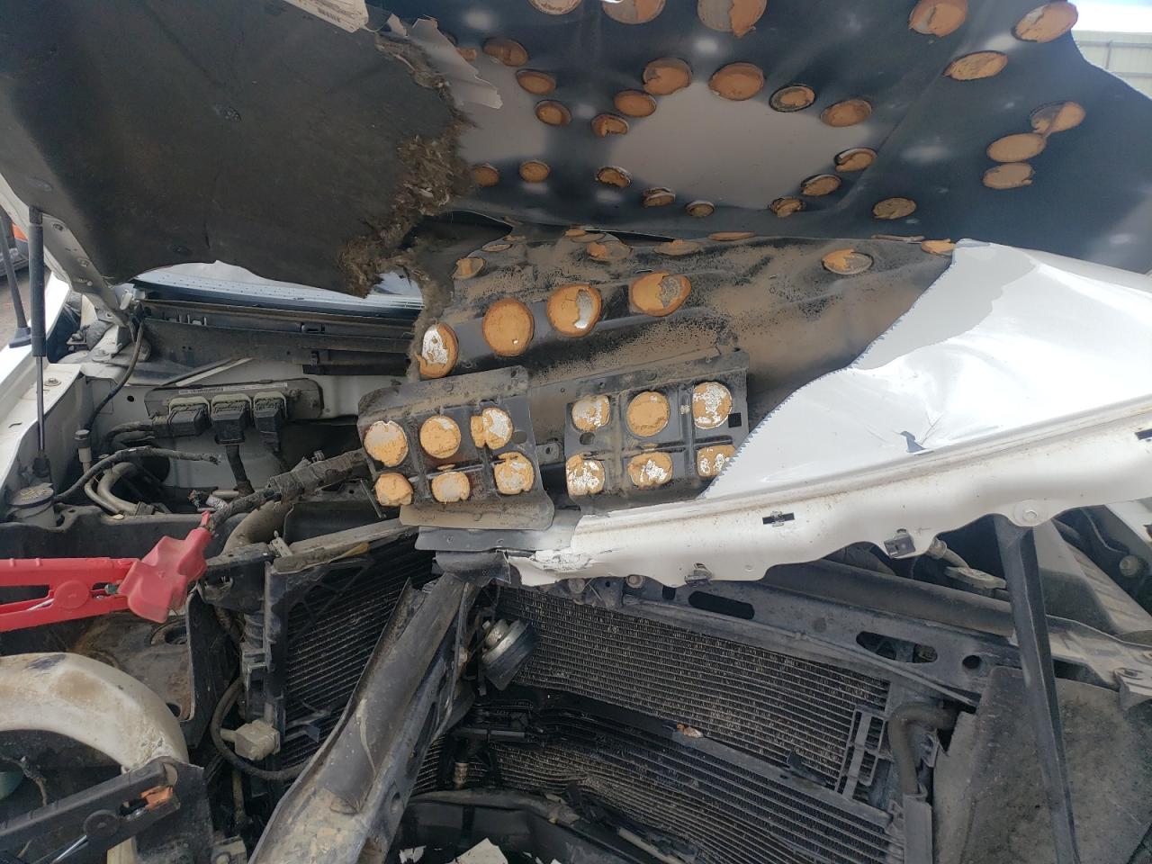 Ford F-150 Super Cab Image 10