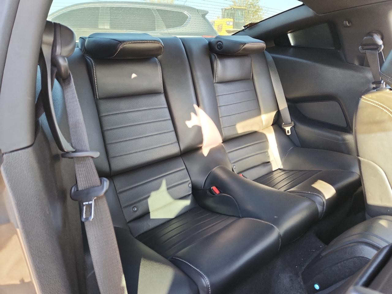 Ford Mustang Gt Image 6