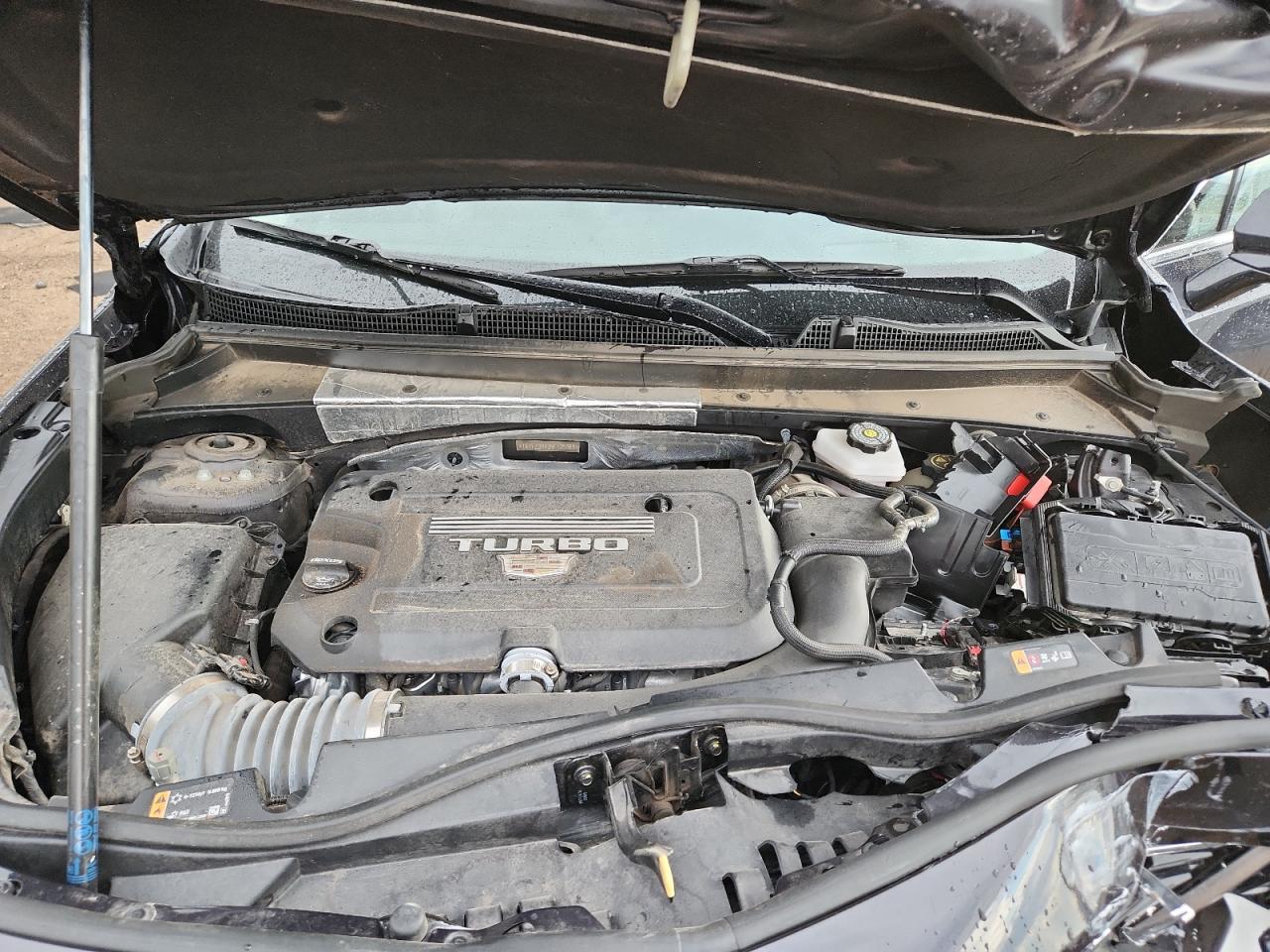 Cadillac XT4 Premium Luxury Image 12