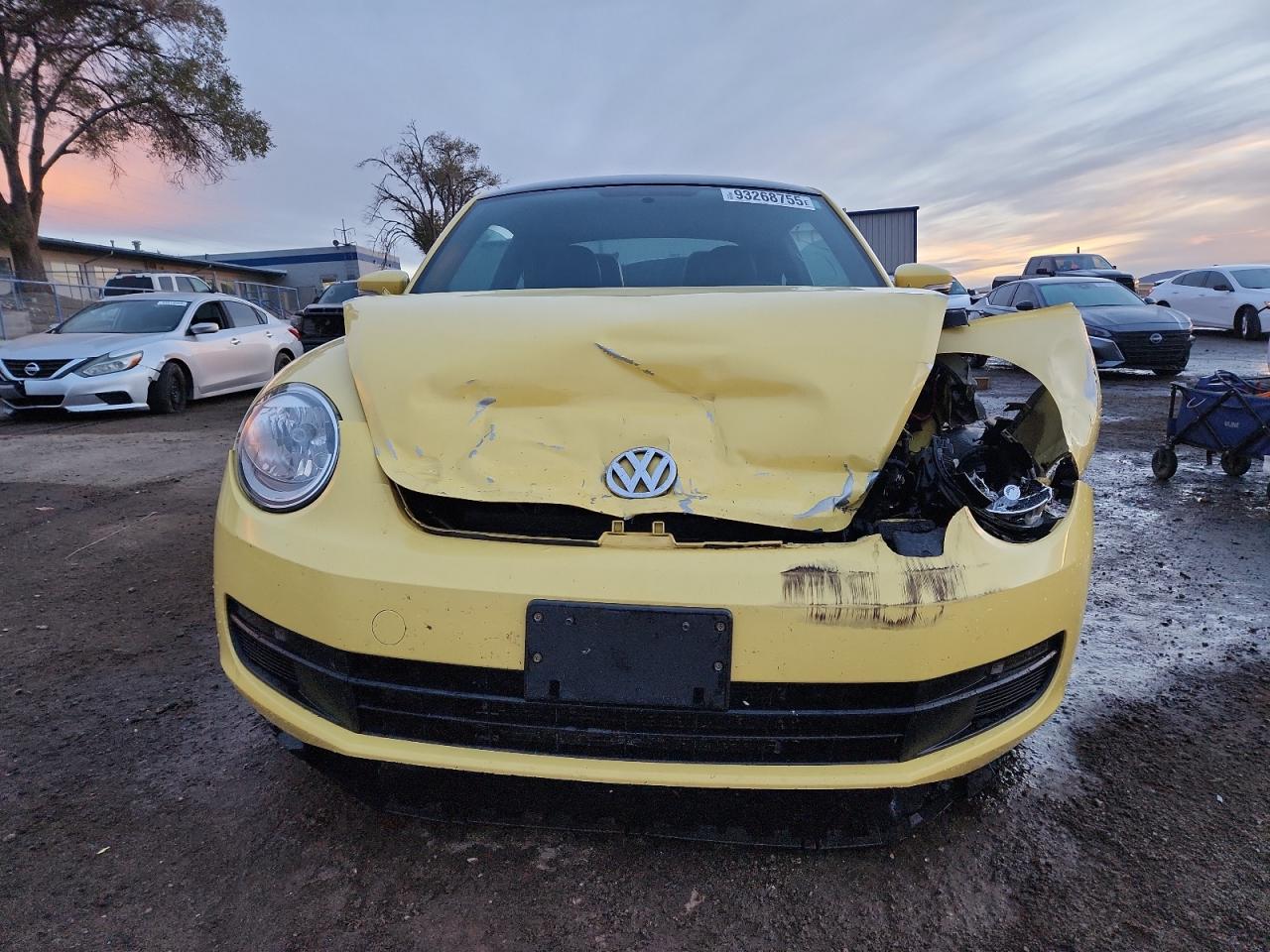 Volkswagen Beetle Image 4