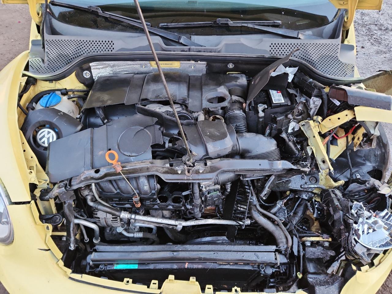 Volkswagen Beetle Image 9