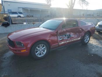 2008 Ford Mustang 1ZVHT80N685******