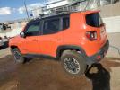 Jeep Renegade Trailhawk Image 4