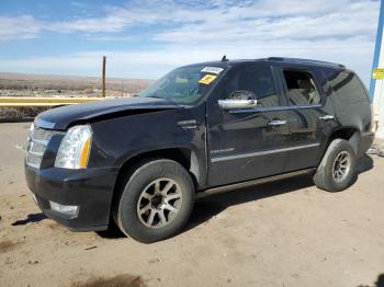  Salvage Cadillac Escalade