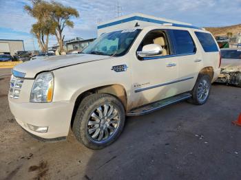 Salvage Cadillac Escalade