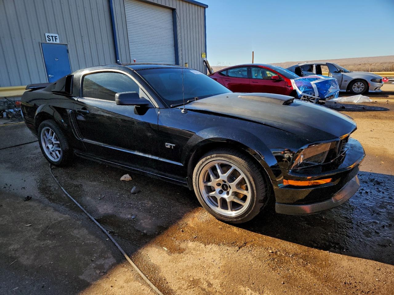 Ford Mustang Gt Image 8