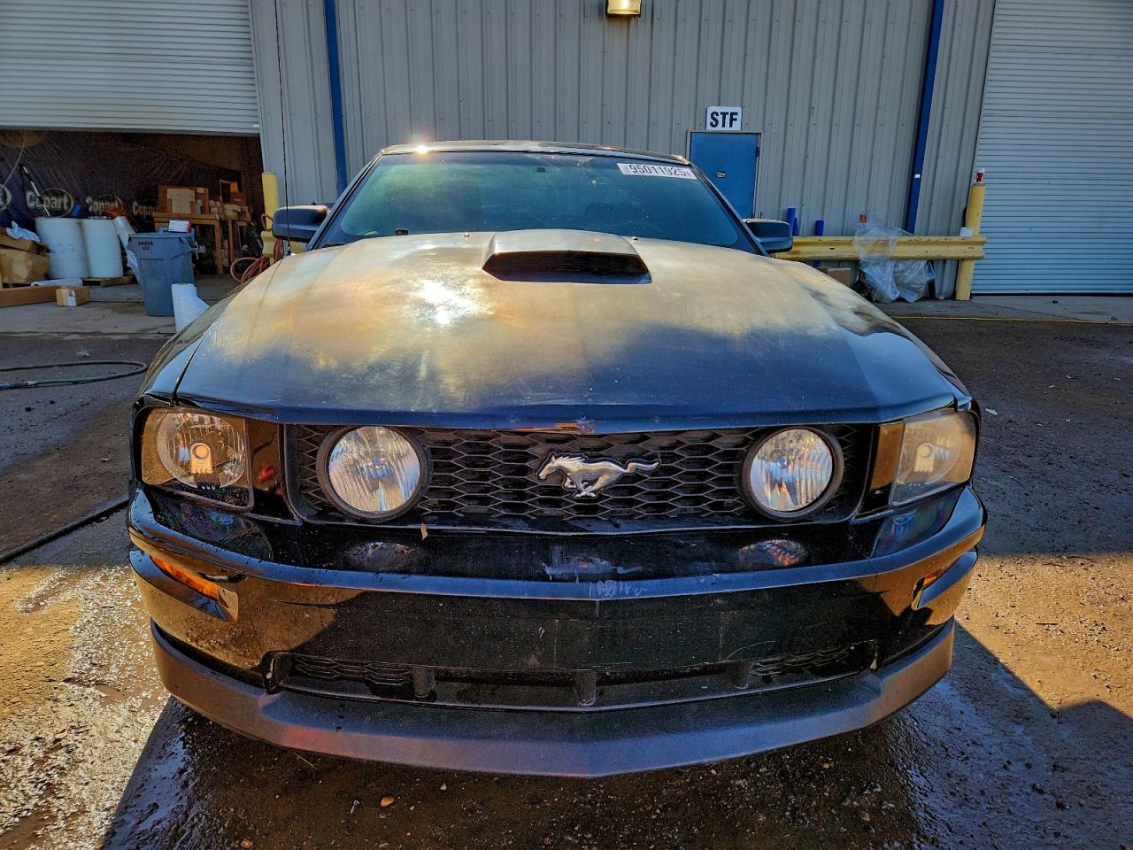 Ford Mustang Gt Image 9