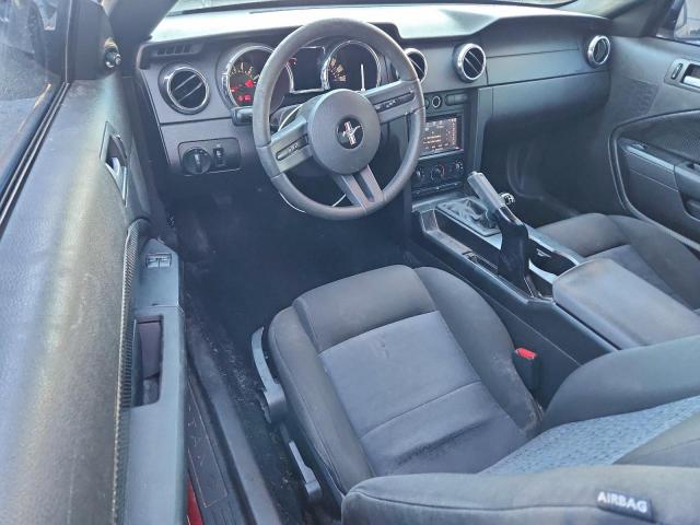 Ford Mustang Image 6