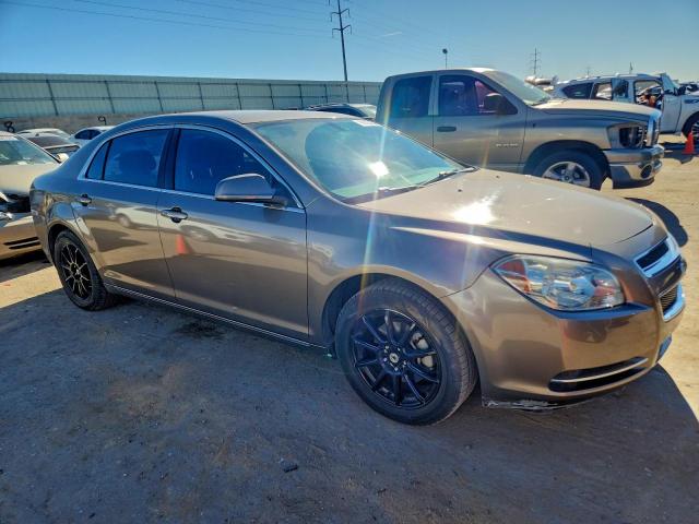 Chevrolet Malibu 1lt Image 4