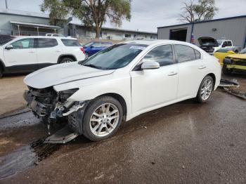  Salvage Nissan Maxima
