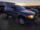 Ford Escape Xlt Image 6