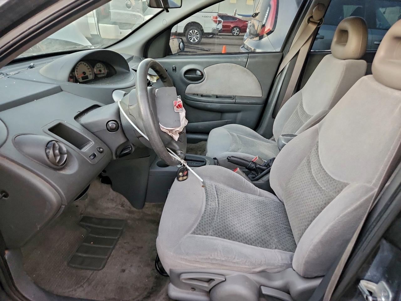 Saturn Ion Level 3 Image 2