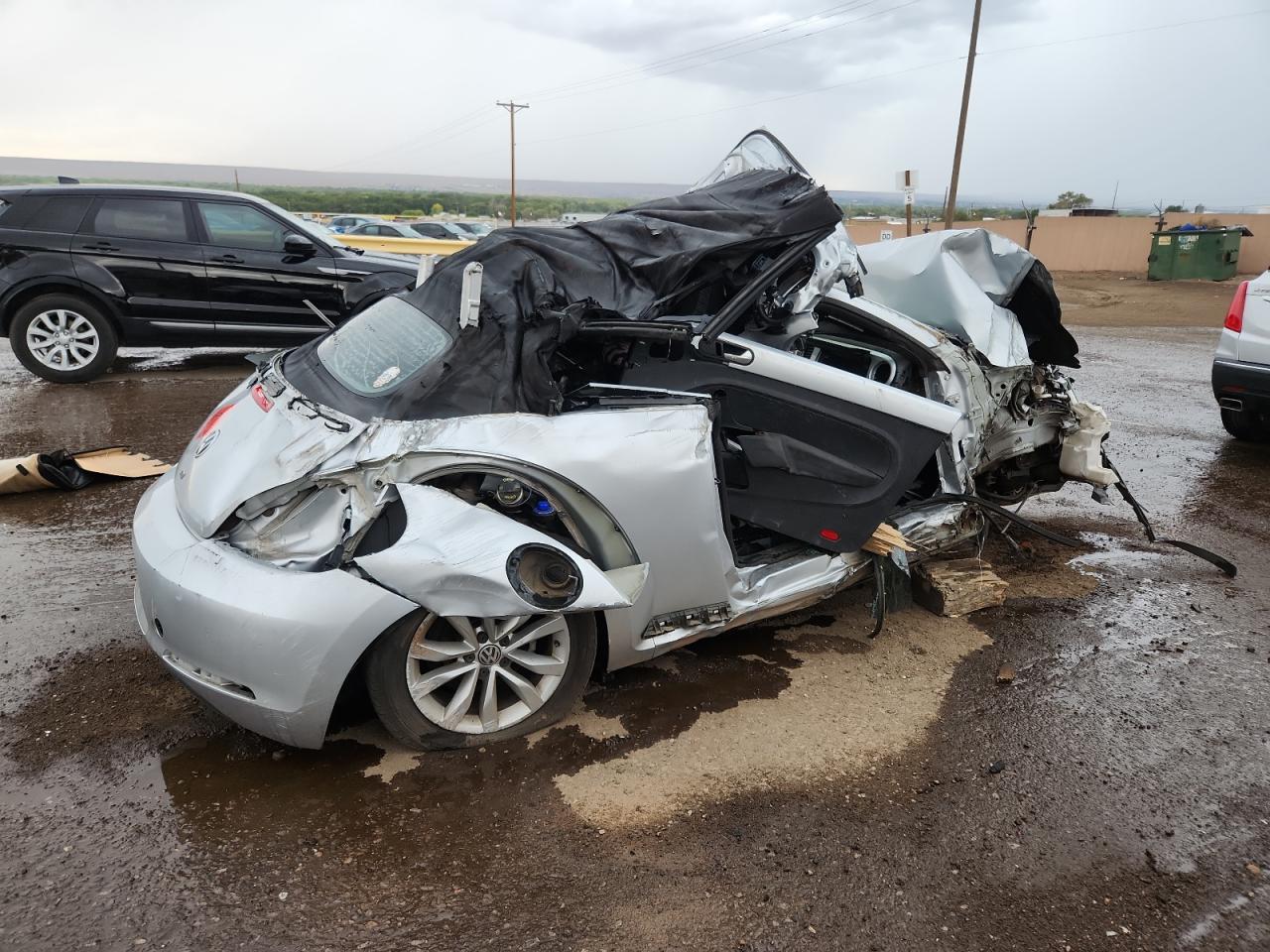 Volkswagen Beetle Image 6