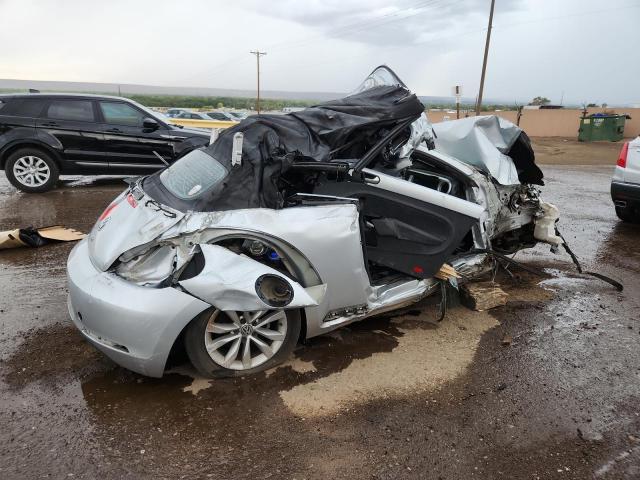 Volkswagen Beetle Image 6