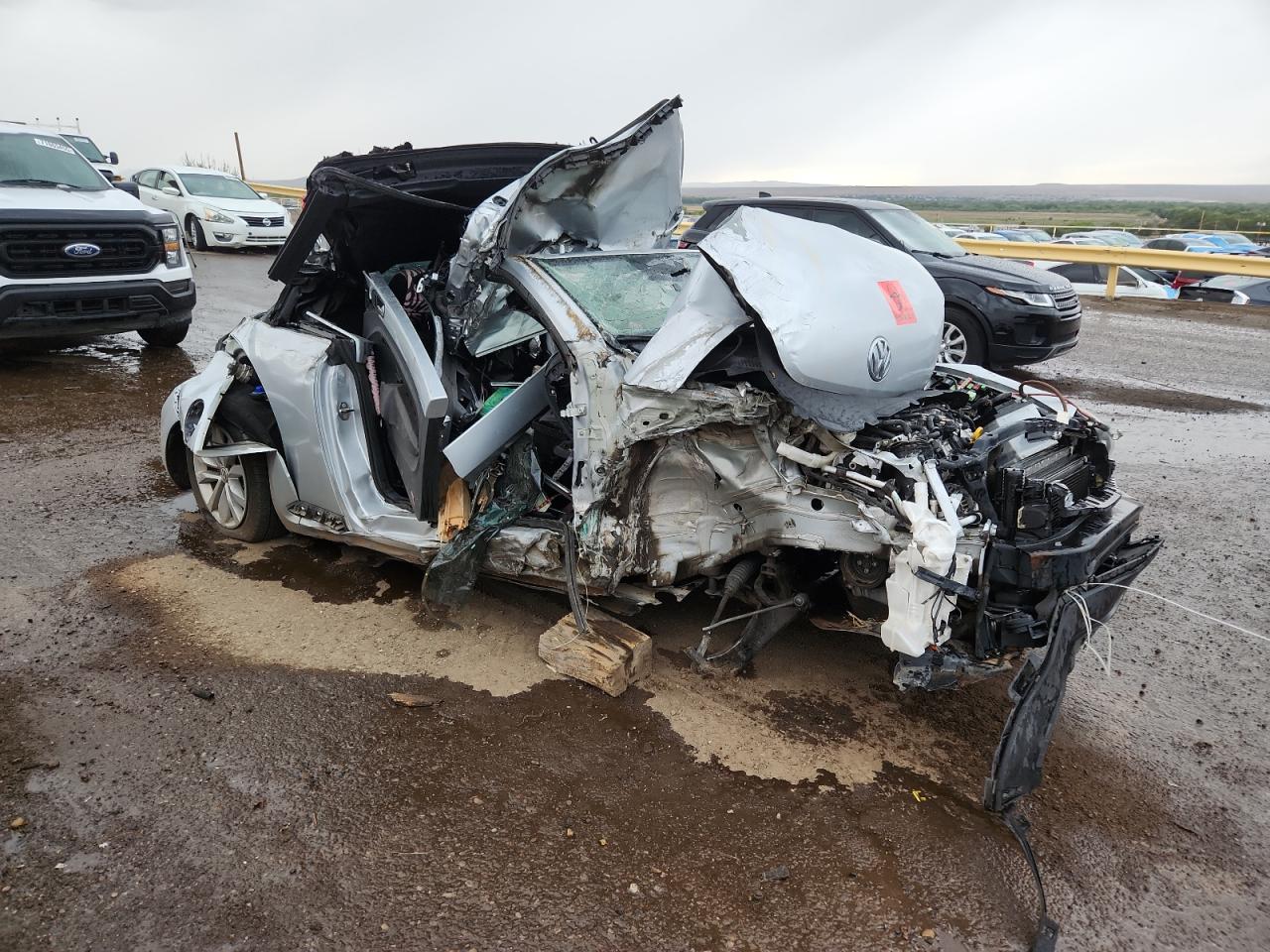 Volkswagen Beetle Image 11