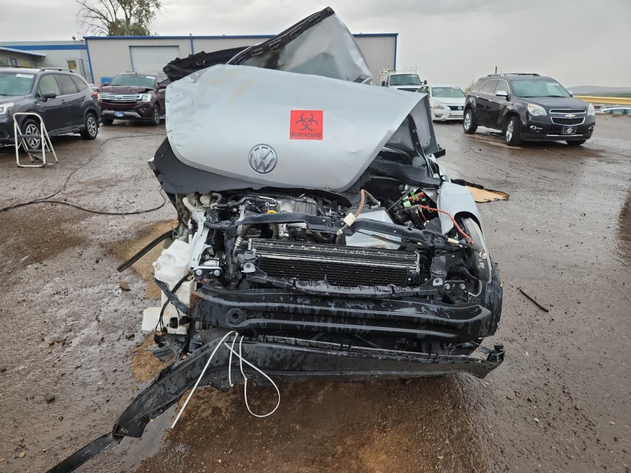 Volkswagen Beetle Image 10