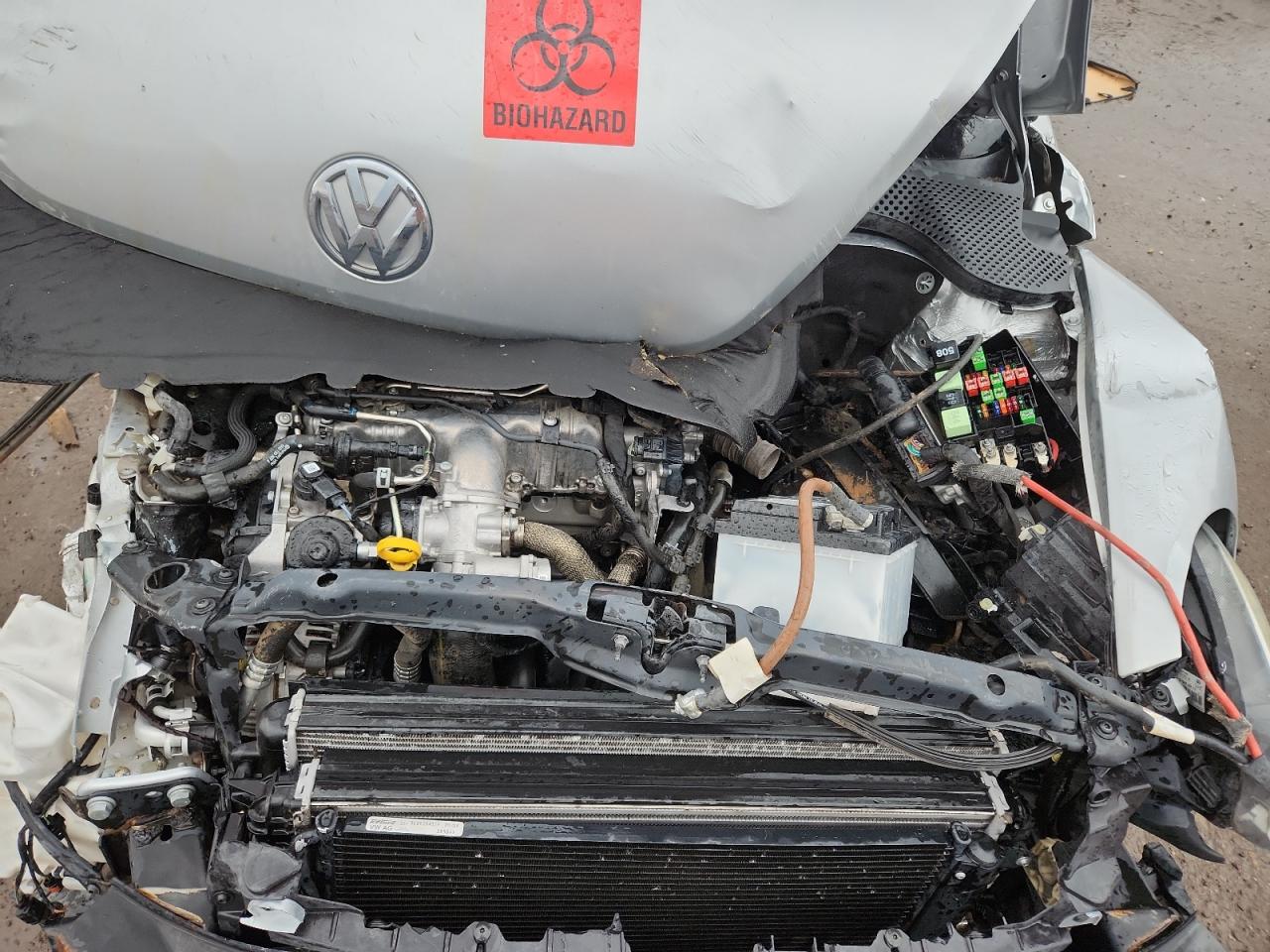 Volkswagen Beetle Image 5